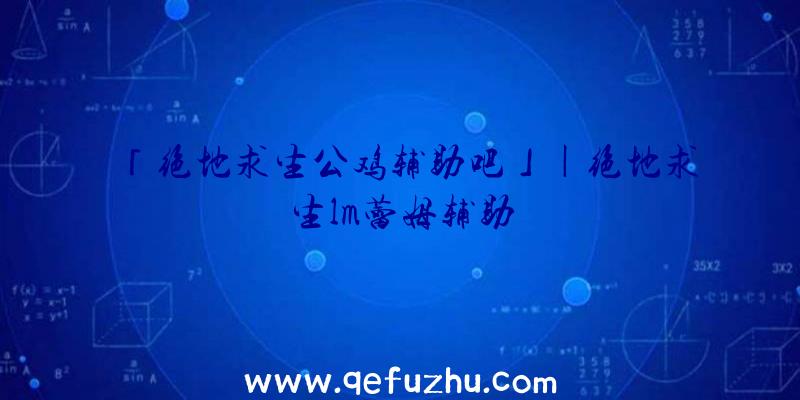 「绝地求生公鸡辅助吧」|绝地求生lm蕾姆辅助